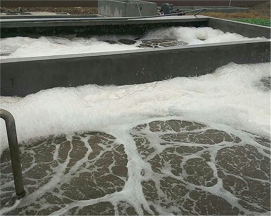 黑偉的污水處理鼓風(fēng)機(jī)質(zhì)量可靠壽命長(zhǎng)！