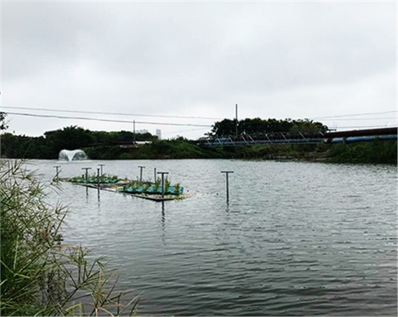 未標(biāo)題-黑偉黑偉沉水式風(fēng)機(jī)使用方便噪音??！