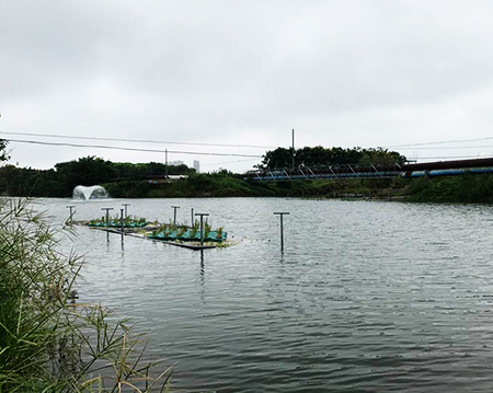 黑偉黑偉沉水式風(fēng)機(jī)使用方便噪音小！