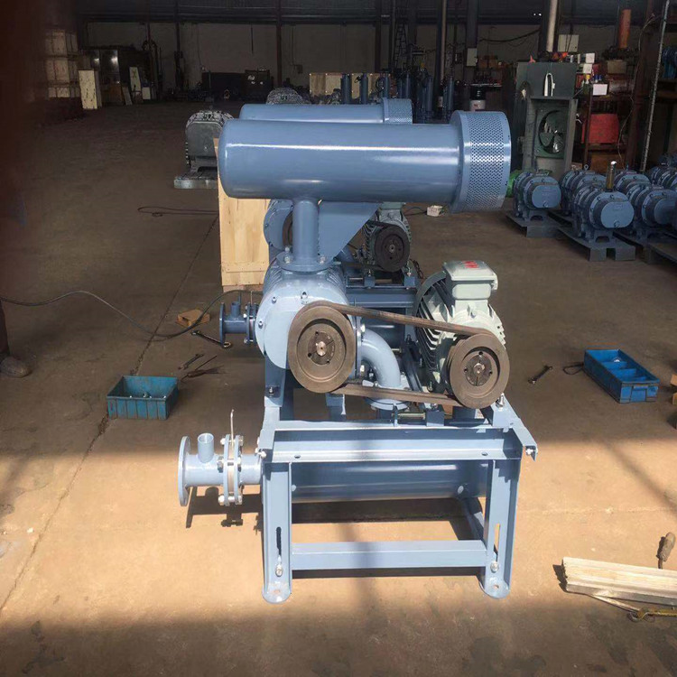 損壞羅茨鼓風機齒輪減速器的原因有哪些？